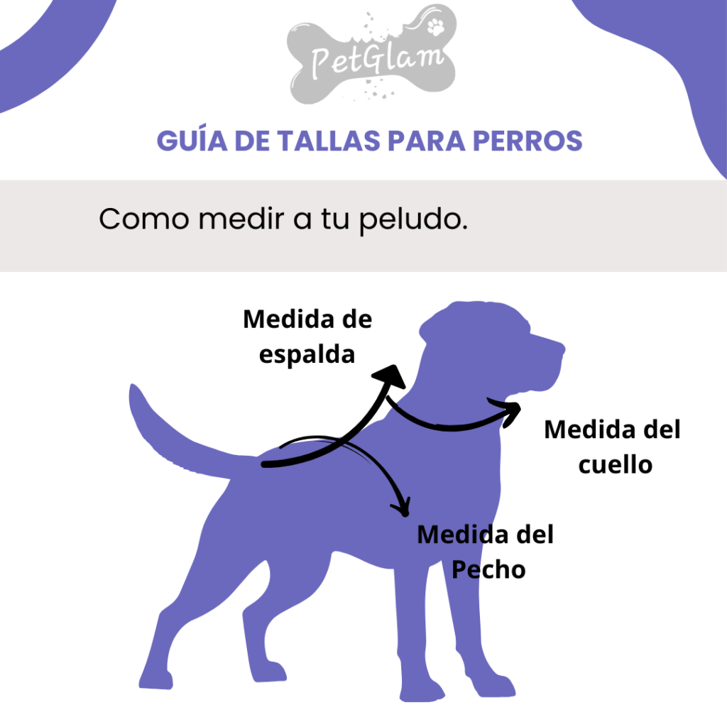 Como tomar la medida de tu mascota correctamente